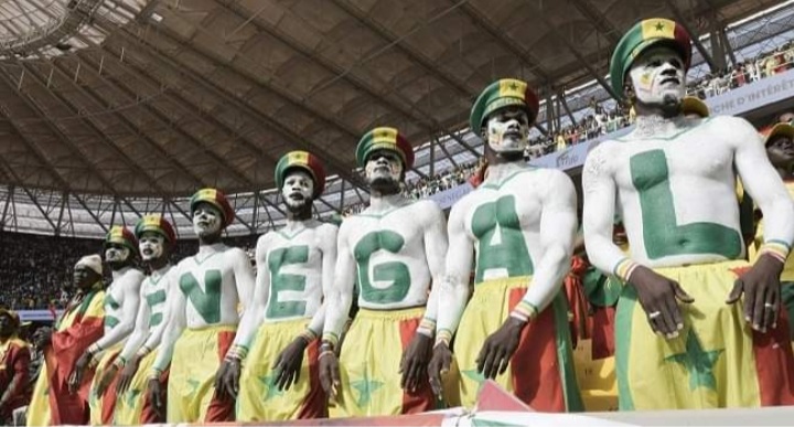 Senegal To Face Netherlands In World Cup Opening Game As Qatar Against Ecuador Kick-Off Moved: FIFA
