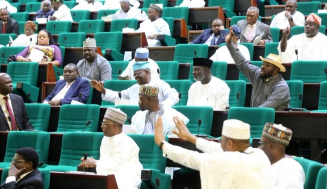 The House of Representatives is set to probe 'cryptic pregnancy’ practice in Nigeria